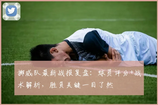 挪威队最新战报复盘:球员评分+战术解析,胜负关键一目了然